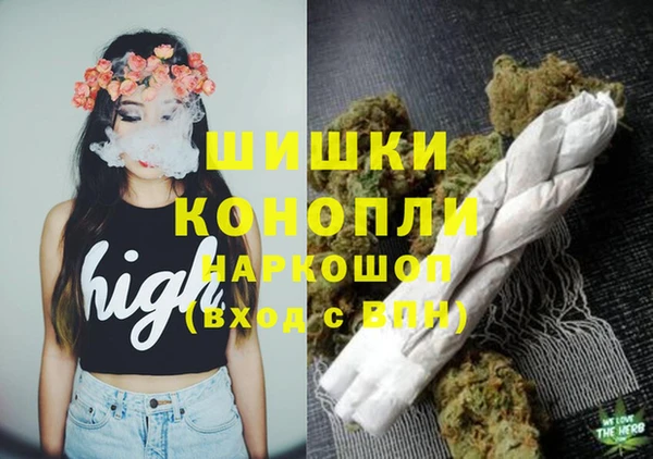 винт Алексеевка
