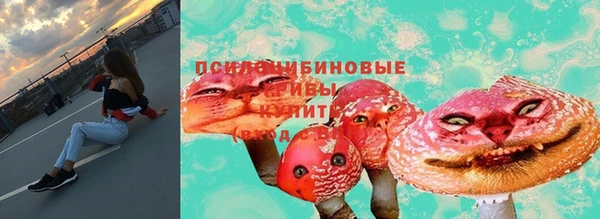 спайс Абаза