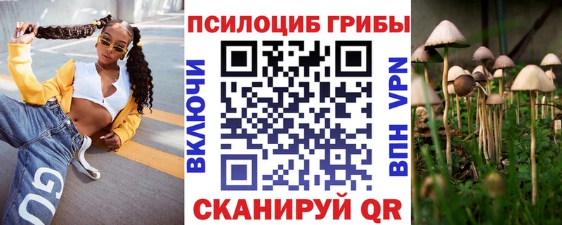 Галлюциногенные грибы Psilocybine cubensis  Вышний Волочёк 
