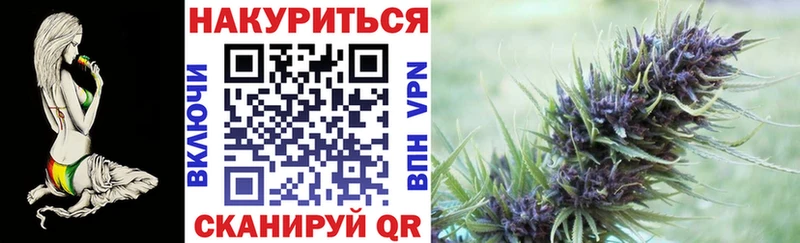 купить   Вышний Волочёк  Конопля ГИДРОПОН 